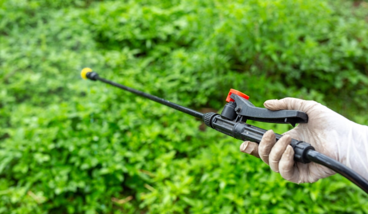 eliminar los insectos en los cultivos